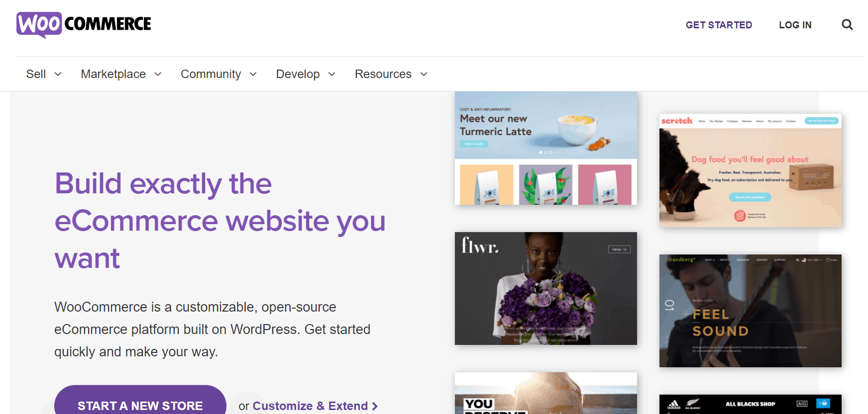 Web design software for ecommerce - Woo Commerce
