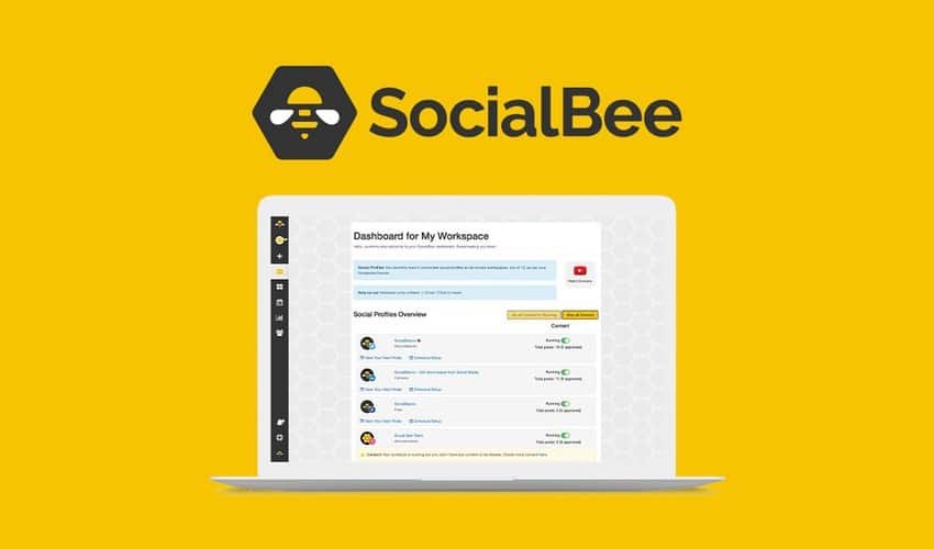 Best social media tool - SocialBee