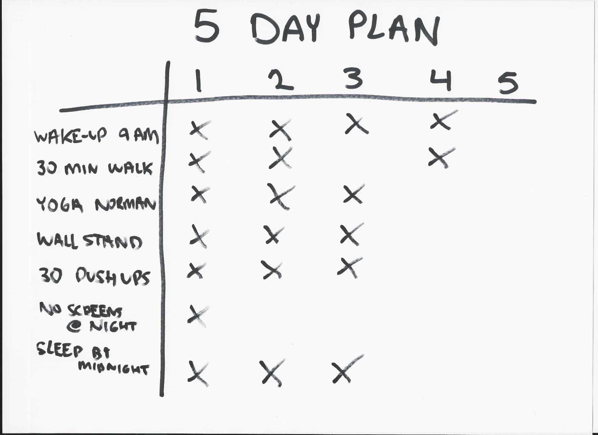 5 day plan