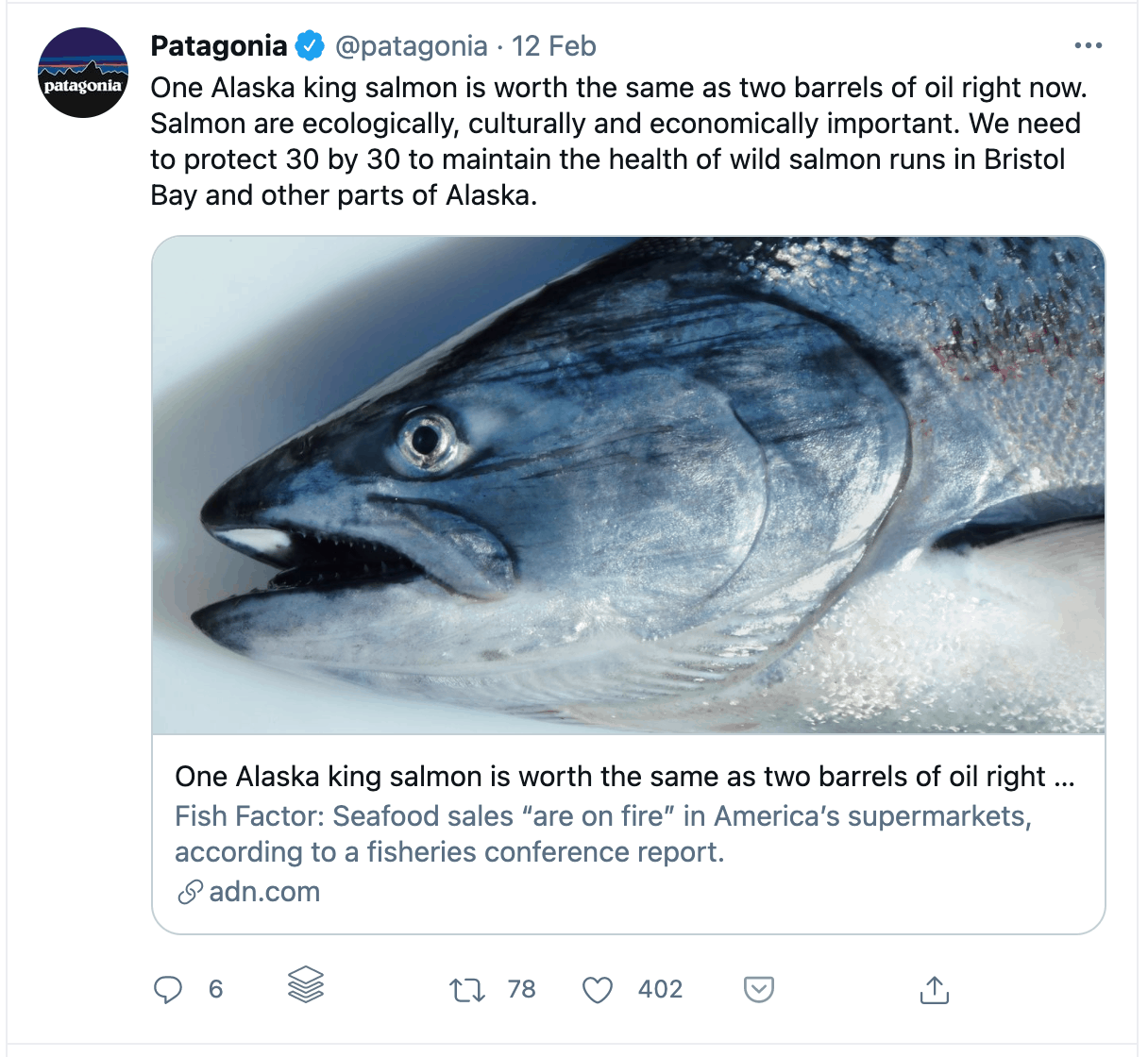 Patagonia's Tweet link thubnail