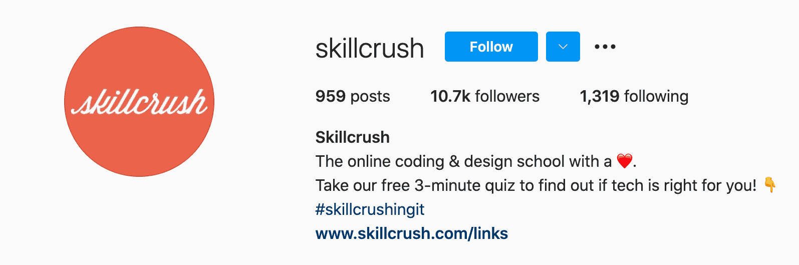 skillcrush's ig